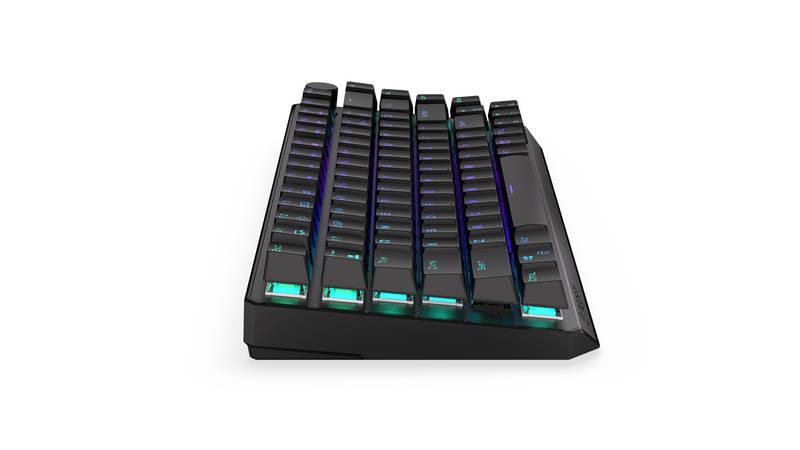 Klávesnice ENDORFY Thock 75% Wireless Black switche, US layout, RGB černá, Klávesnice, ENDORFY, Thock, 75%, Wireless, Black, switche, US, layout, RGB, černá